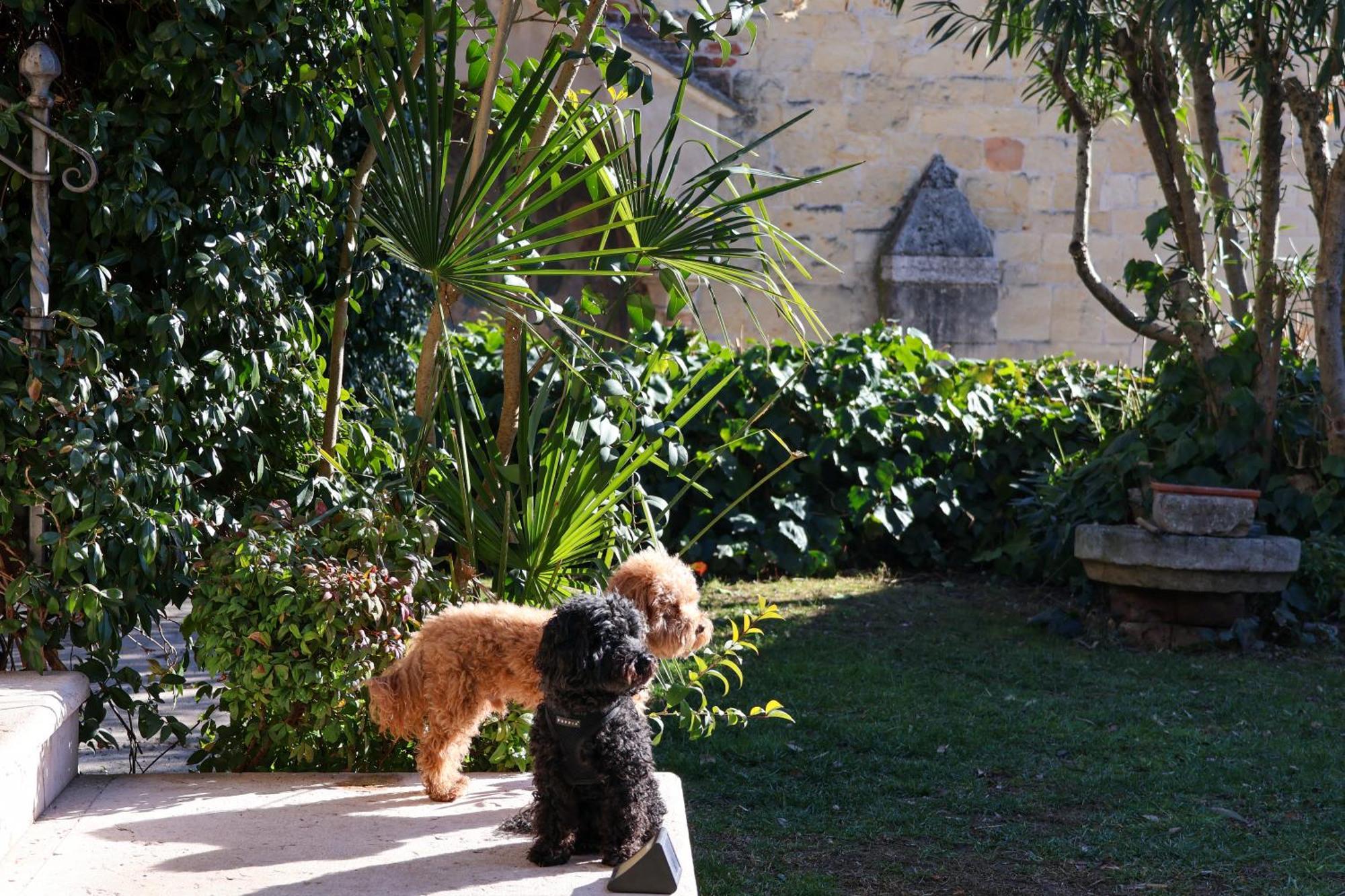 Aurelia Maison فيرونا المظهر الخارجي الصورة