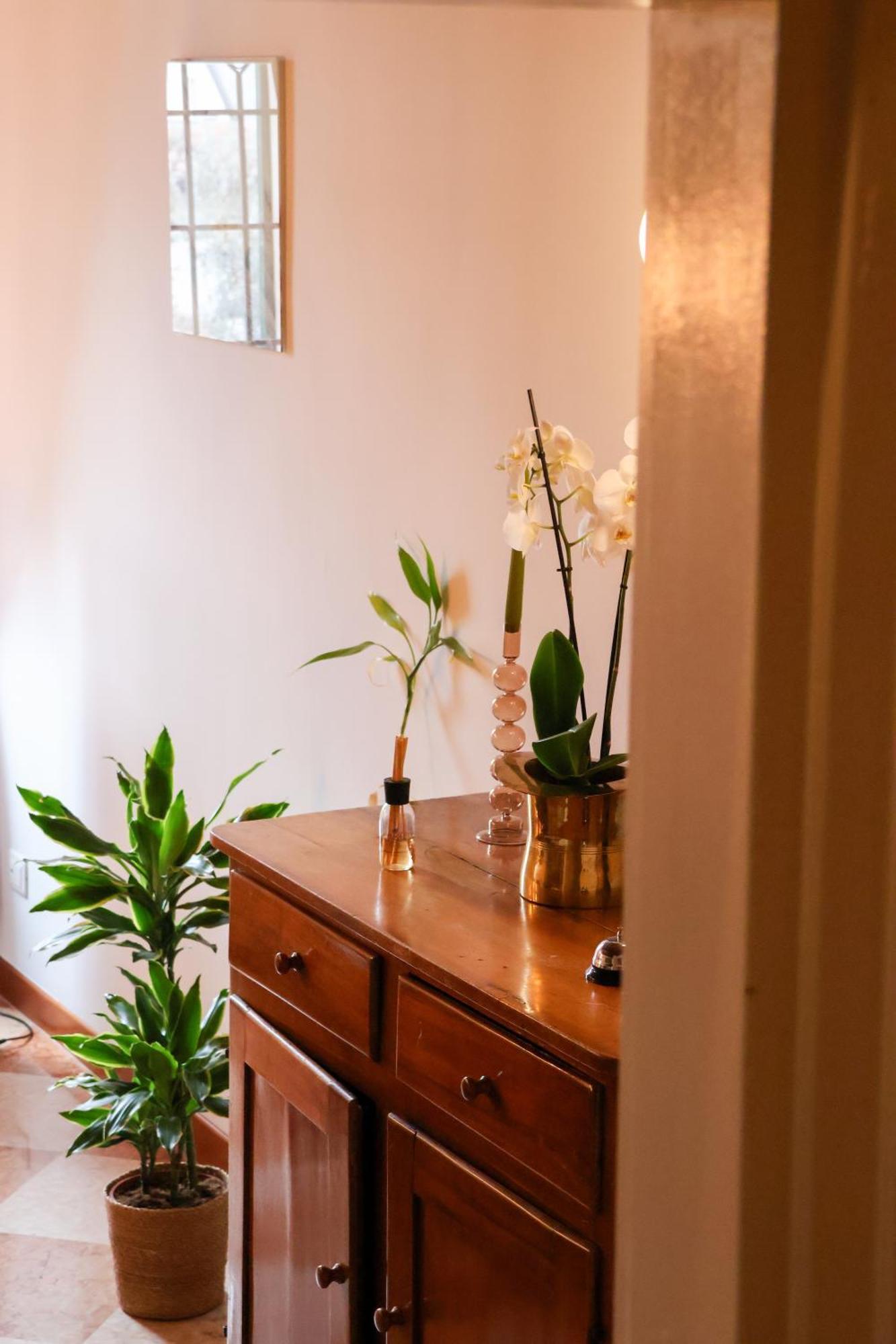 Aurelia Maison فيرونا المظهر الخارجي الصورة