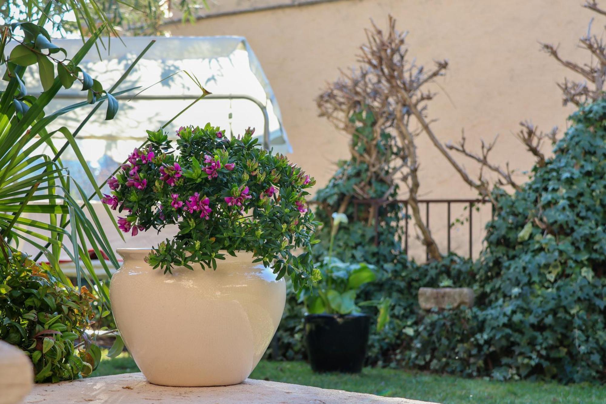 Aurelia Maison فيرونا المظهر الخارجي الصورة
